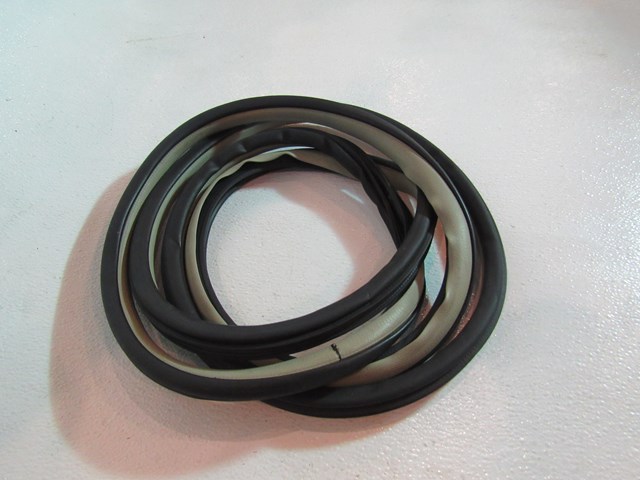 2004 Infiniti G35 Sedan Front RH Passenger Door Seal On Body Tan