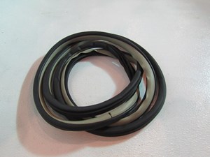 2004 Infiniti G35 Sedan Front RH Passenger Door Seal On Body Tan