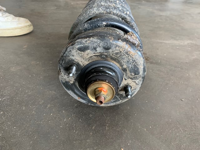 2001 Acura CL Rear LH Driver Strut Shock Absorber OEM 52610-S3M-A010