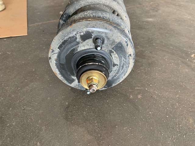 2001 Acura CL Rear RH Passenger Strut Shock Absorber OEM 