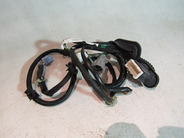 2003 Infiniti G35 Sedan AT Rear LH Drivers Door Wiring 24126 AM605