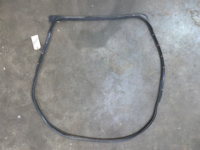 2004 Lincoln Aviator Rear RH Passenger Outer Door Seal OEM