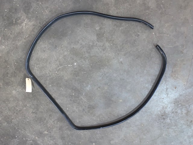 2004 Lincoln Aviator Rear RH Passenger Inner Door Seal OEM