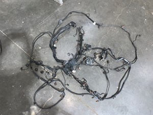2012 Porsche Panamera 4.8L Complete Engine Wire Harness OEM