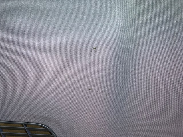 2012 Porsche Panamera Cargo Privacy Cover Shelf Blue OEM