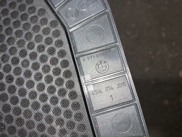 2015 BMW X5 Front LH RH Speaker Cover Grill OEM 697188203