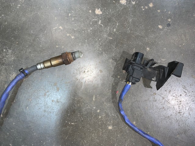 2012 Porsche Panamera Front RH Passenger O2 Oxygen Sensor OEM 97060612401