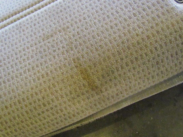 2003 Subaru Legacy Outback Rear Bench Seat Back Cloth