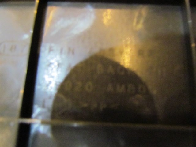 2006 Infiniti G35 Coupe Rear RH Passenger Seat Finish Panel 79920 AM800