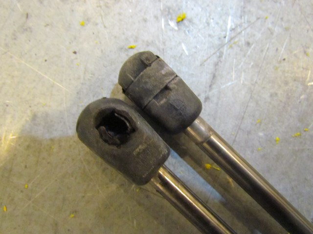 2004 Audi A8L Hood Gas Struts Pair