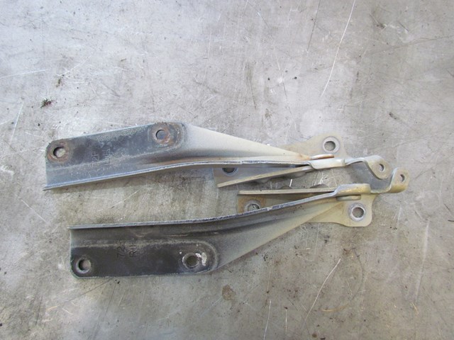 2004 Subaru Forester XT Hood Hinge Set