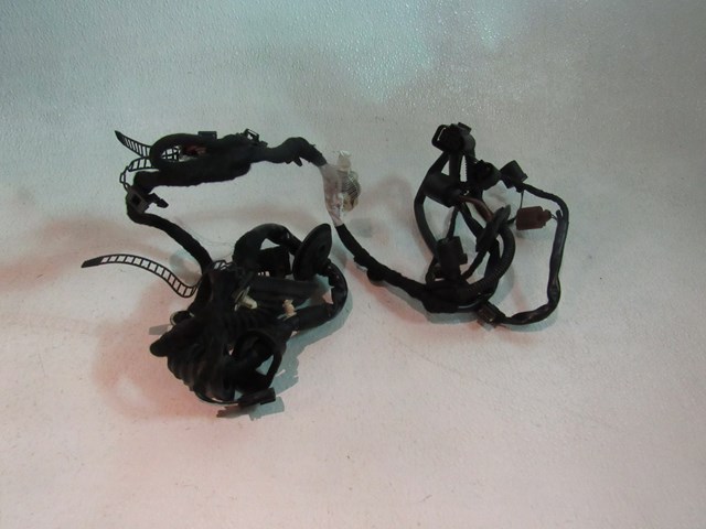 04 05 06 07 08 Audi A8L RH Passenger Front Door Wiring 4E0971030