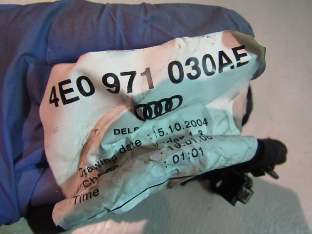 04 05 06 07 08 Audi A8L RH Passenger Front Door Wiring 4E0971030