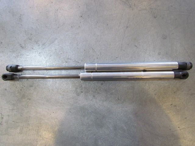 2004 Audi A8L Trunk Strut Pair