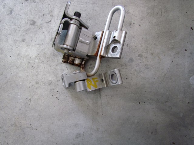 2004 Audi A8L Front RH Passenger Door Hinge Set