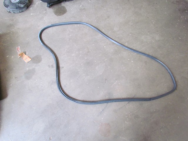 2007 Infiniti G35 Coupe RH Door Seal
