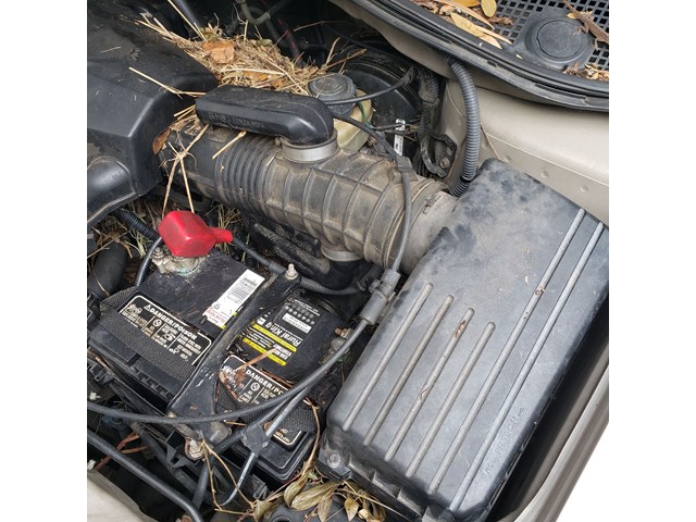 2003 Honda Odyssey Air Cleaner Box