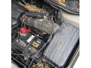 2003 Honda Odyssey Air Cleaner Box