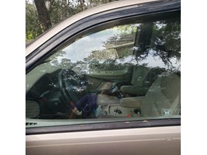 2003 Honda Odyssey Front Door Glass LH 