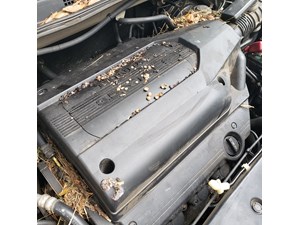 2003 Honda Odyssey Starter