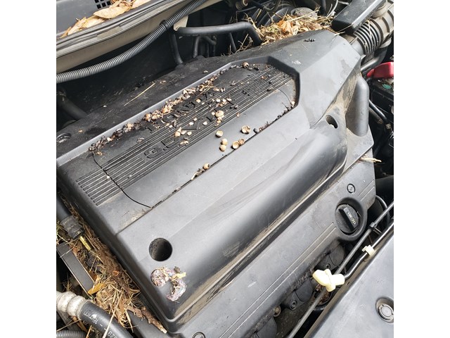 2003 Honda Odyssey Radiator Cooling Fan