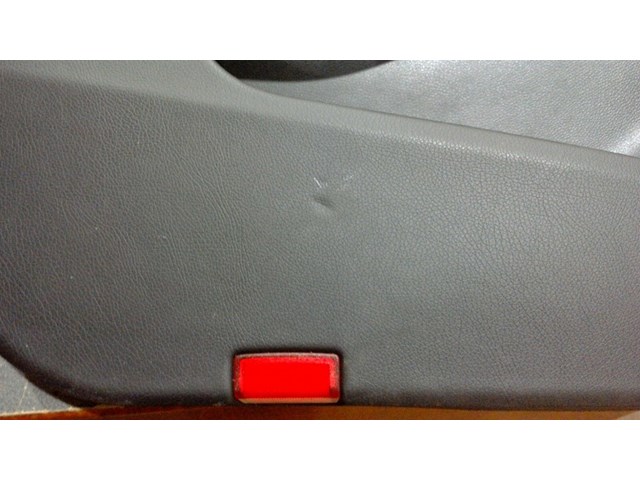 2016 MERCEDES BENZ GLA250 LEFT FRONT DOOR PANEL