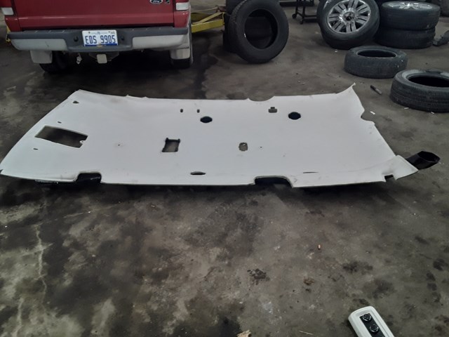 2010 Dodge Grand Caravan Headliner