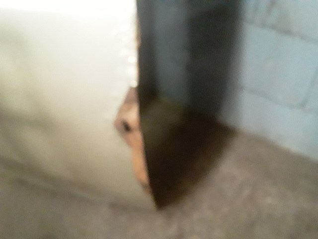 2010 Dodge Grand Caravan Exterior Other