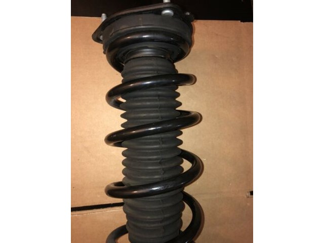 Infiniti Q50 Driver Rear (left Rear) Shock/strut Assembly