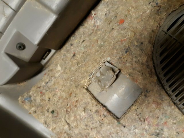 1999 Ford F150 Front Door Panel