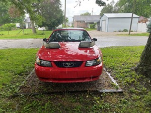 2004 Ford Mustang Headlight