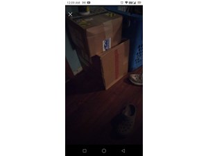 2007 Chevy TrailBlazer Brake Pads and rotors will also fit Isuzu ascender and ot