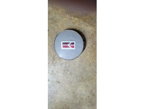 1991-1995 98 Olds Center Cap For Wire Hub Cap