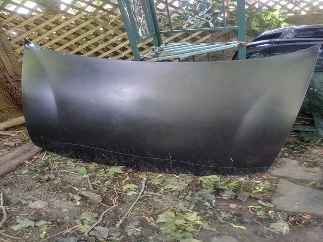 1997 Acura Integra Hood