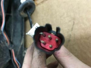 Driver Left Tail Light Hatchback 5 Door Fits 00-07 FOCUS 52060