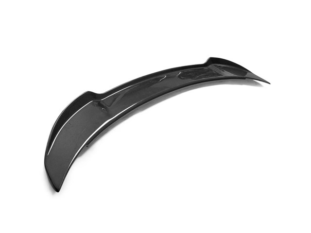 2013-2020 Dodge Charger REAR  Spoiler