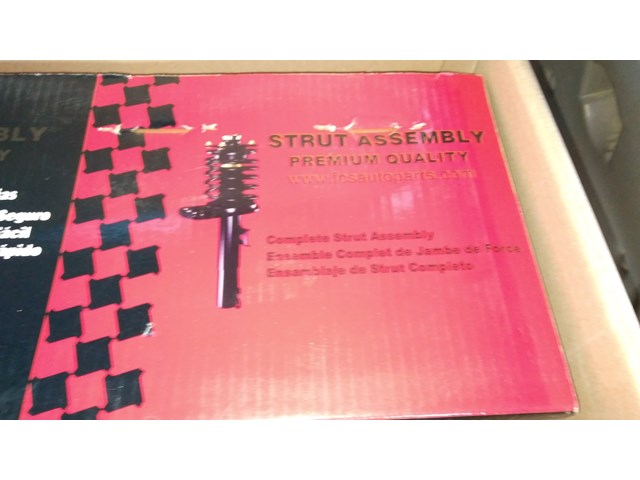  Complet Strut  Assembly 