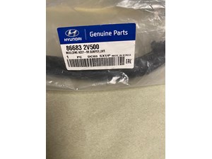 2013-2017 Hyundai Veloster Rear Bumper Moulding 