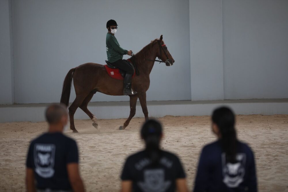 N&uacute;cleo de Equoterapia beneficiou mais de 70 crian&ccedil;as com defici&ecirc;ncia neste  ano, em Manaus &ndash; Portal do Marcos Santos - Portal do Marcos Santos