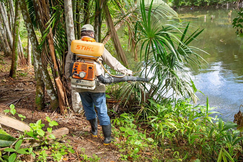 Manaus inicia plano de a&ccedil;&atilde;o para manter redu&ccedil;&atilde;o de casos de mal&aacute;ria -  Portal do Marcos Santos