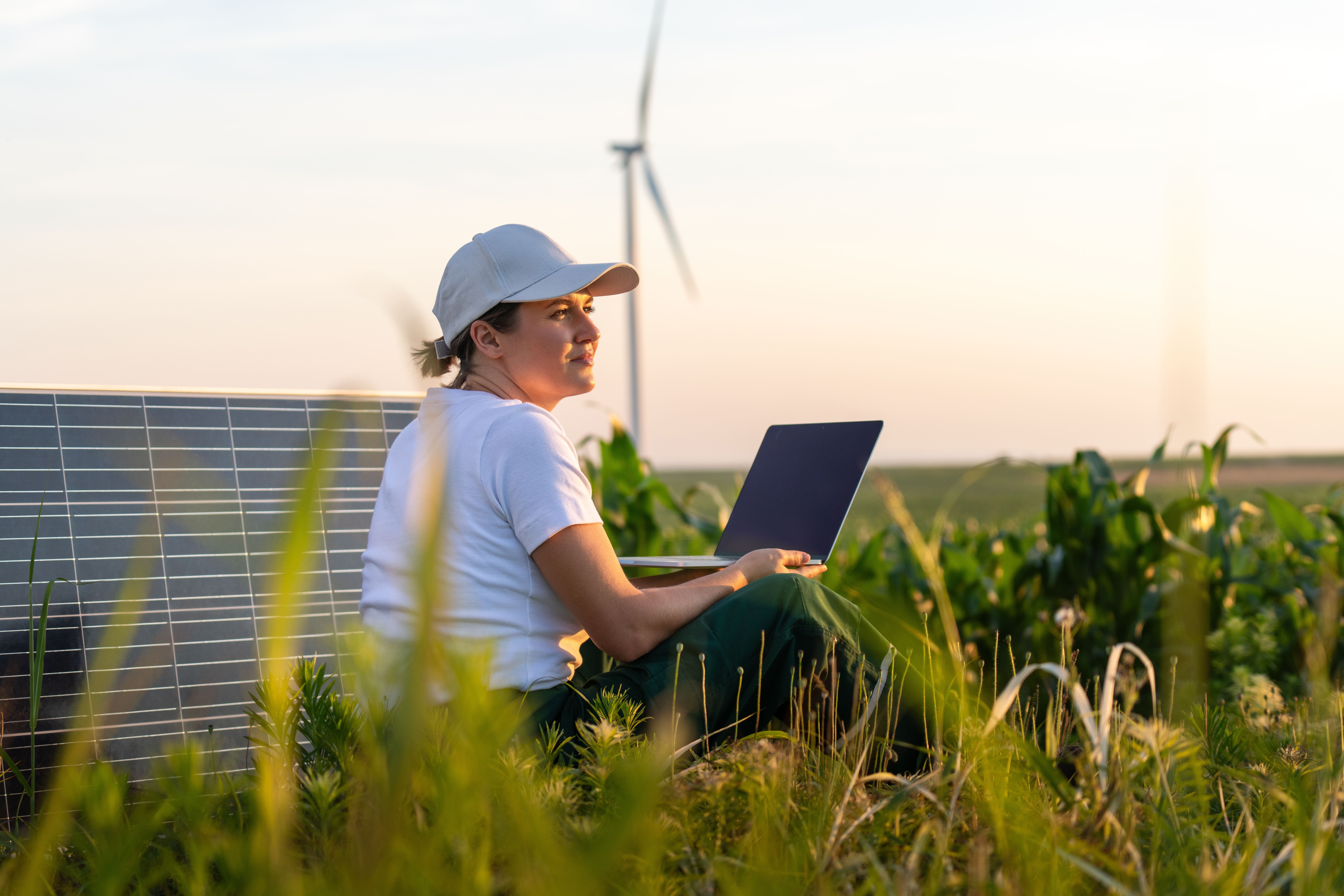 Todo lo que necesita saber acerca de las Minigranjas solares