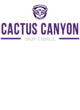 Cactus Canyon Softball Champions Core Fleece Camo Pullover Hooded Sweatshirt Designs