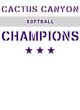 Cactus Canyon Softball Champions Core Fleece Camo Pullover Hooded Sweatshirt Designs