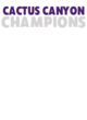 Cactus Canyon Softball Champions Core Fleece Camo Pullover Hooded Sweatshirt Designs