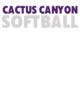 Cactus Canyon Softball Champions Core Fleece Camo Pullover Hooded Sweatshirt Designs