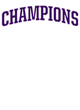 Cactus Canyon Softball Champions Core Fleece Camo Pullover Hooded Sweatshirt Designs