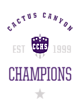 Cactus Canyon Softball Champions Core Fleece Camo Pullover Hooded Sweatshirt Designs