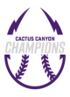 Cactus Canyon Softball Champions Core Fleece Camo Pullover Hooded Sweatshirt Designs