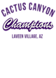 Cactus Canyon Softball Champions Core Fleece Camo Pullover Hooded Sweatshirt Designs