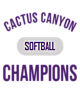 Cactus Canyon Softball Champions Core Fleece Camo Pullover Hooded Sweatshirt Designs